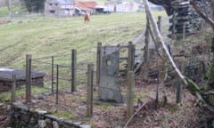 The Stone of Goronwy also called Slate of Gronw, or Llech Ronw