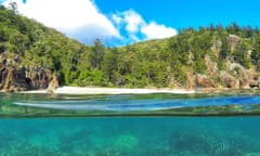 Fish at Manta Ray Bay in the Whitsundays, Queensland