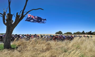 The peloton moves past an Australian flag hung from a tree during the first stage of the Tour Down Under cycling race from Adelaide to Tanunda.