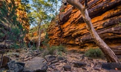 Alligator Gorge in the Flinders Ranges