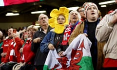 Delilah has proved a fan favourite with Wales fans at the Principality Stadium.