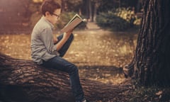 Cute boy reading a book in the park at sunset<br>Cute boy reading a book in the park sitting between trees at sunset. Stock photo.