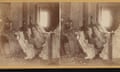 A black and white image of workers at a cotton ginning mill