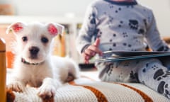 A puppy sitting on a bed next to a boy reading a book.