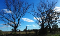 Grazier Bruce Maynard's farm in between Trangie and Narromine in NSW
