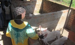 Photos from Katine : Anna Grace Amayo in her piggery built with a loan from the cooperative