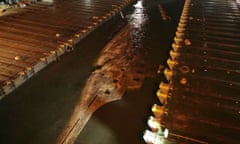 The sunken ferry Sewol is raised during its salvage operations on the sea off Jindo, South Korea.