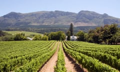 Panoramic view of a winery in South Africa.