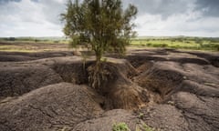 Soil erosion in Maasai heartlands in Tanzania : Tanzania Day2-Maasi-Reserve 3445