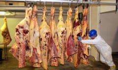 Processing beef carcasses at an abattoir