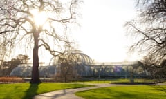 The palm house at Kew Gardens in winter.