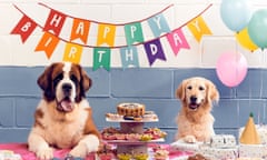 Dogs given their own birthday party.