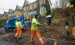 Contractors cut down trees