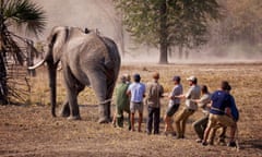 Prince Harry with African Parks workers and an elephant