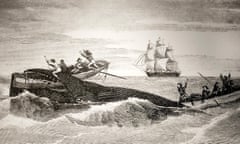 An illustration of sailors attacking a whale