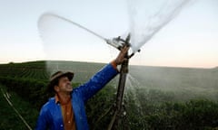 Brazilian coffee producer Marcio Diogo