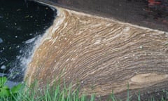 Pollution and plant debris on the Grand Union Canal