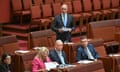 Liberal senator David Van makes a statement in the Senate chamber at Parliament House in Canberra on  Thursday.