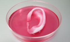 Completed ear structure printed with the Integrated Tissue-Organ Printing System.