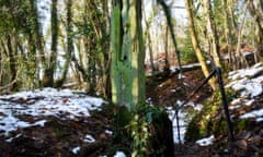 A weathered post above a railway cutting on a snowy day