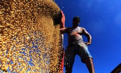 Soya beans are loaded on to a truck, Rio Grande do Sul, Brazil