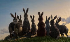 WARNING: Embargoed for publication until 22:00:01 on 01/11/2018 - Programme Name: Watership Down - TX: n/a - Episode: The Journey (No. 1) - Picture Shows: Hazel and his gang survey the view from Watership Down  - (C) Watership Down - Photographer: screengrab