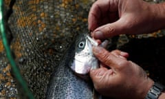 An angler removes a hook from the mouth of a fish