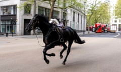 Scared horses bolting through the busy streets of London elicited a giddy mix of fear and excitement.