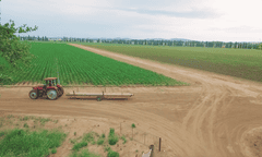 Mulyan farm in Cowra, New South Wales