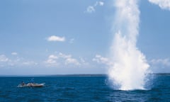 Two men in a boat look at a spout of water erupting from ocean, caused by blast fishing.