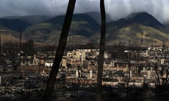 Two tree trunks with cityscape and mountains in back