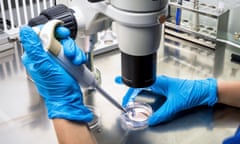 Researcher using microscope in laboratory