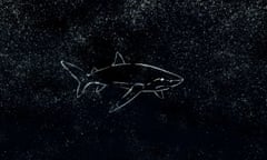 Baidam the Shark in the North from virtual reality game created by Rhett Loban