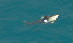 Torres Strait search and rescue: a man is rescued after his dinghy capsized and his spent 20 hours in the water