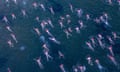 Swimmers stripped off and donned pink swimming caps for the chilly solstice dip at Dark Mofo.