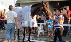 American Pharoah