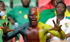 A fan painted in Cameroon flag colours watching the Africa Cup of Nations semi-final against Egypt