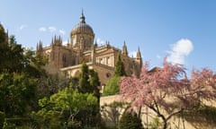 SPAIN Salamanca Flowers and shrubs in garden near cathedral Huerto de Calixto y Melibea near iglesia<br>B2F966 SPAIN Salamanca Flowers and shrubs in garden near cathedral Huerto de Calixto y Melibea near iglesia