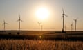 Wind turbines are seen on a wind farm on a field between agricultural produce against a sunset in a countryside in a village near Radom