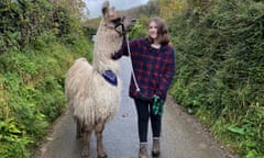 Volunteering at Pembrokeshire Llamas