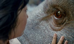 Okja (2017)