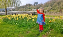 Elizabeth Spencer standing in front of daffodils