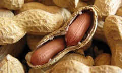 peanuts in their shellMODEL RELEASED Allergy,
Health and Medicine