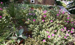 Green Roofs