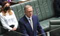 Labor leader Anthony Albanese speaks in parliament