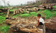 A young Cambodian sits atop one of countless logs piled in a forest. 