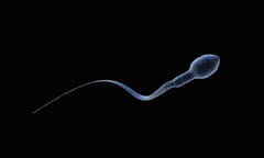 A close-up image of a blue-grey coloured single sperm cell on black background