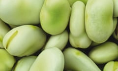 Broad beans