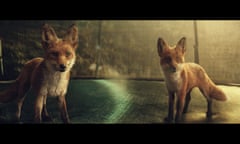 Foxes in John Lewis ad