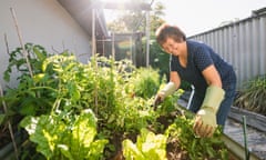 Senior Asian woman gardening at her home in Perth, Australia.